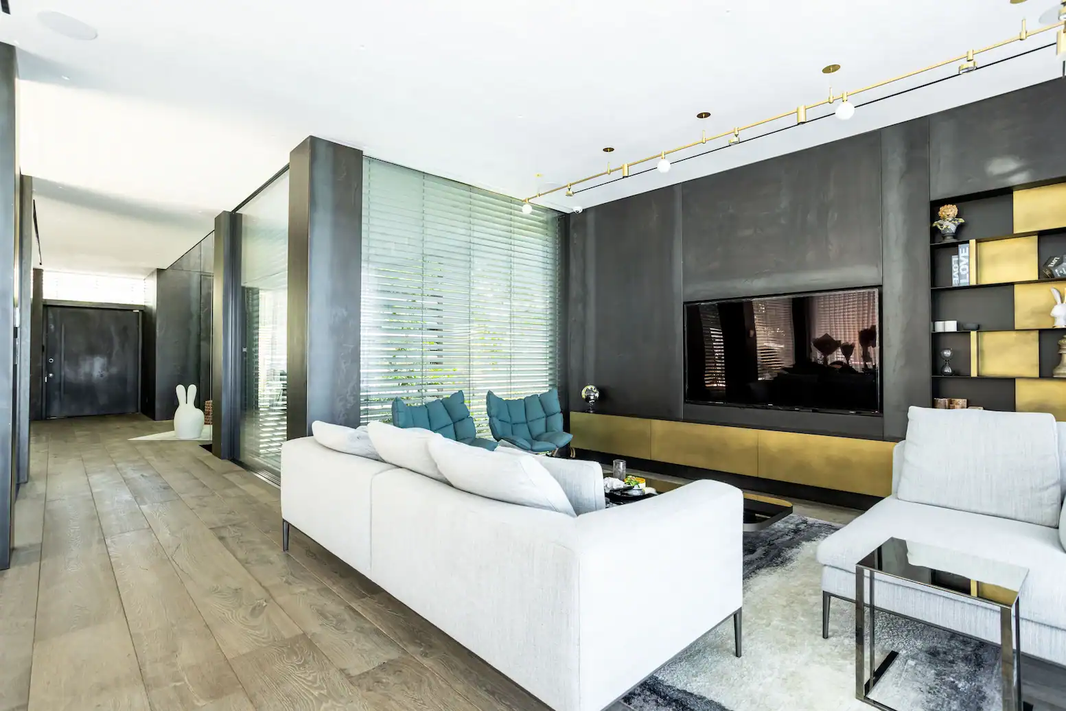 דלת כניסה קו אפס מדגם סופיה