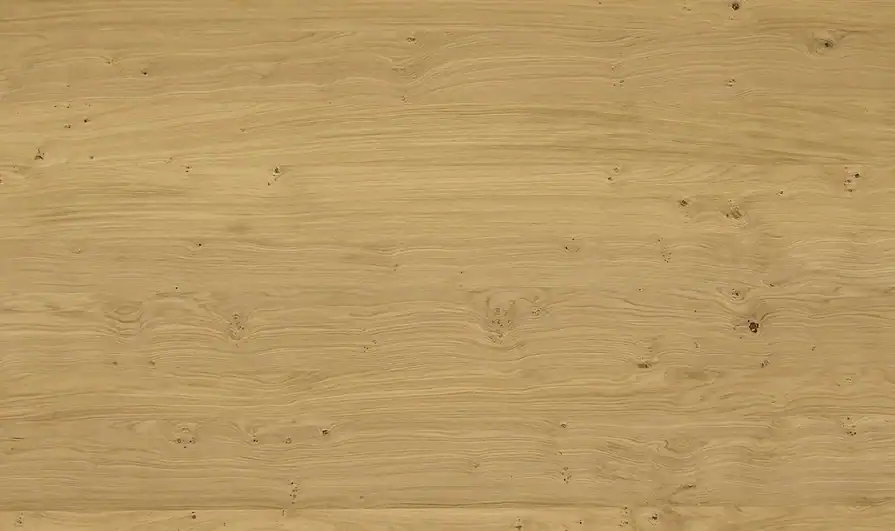 אלון עיניים 174.02