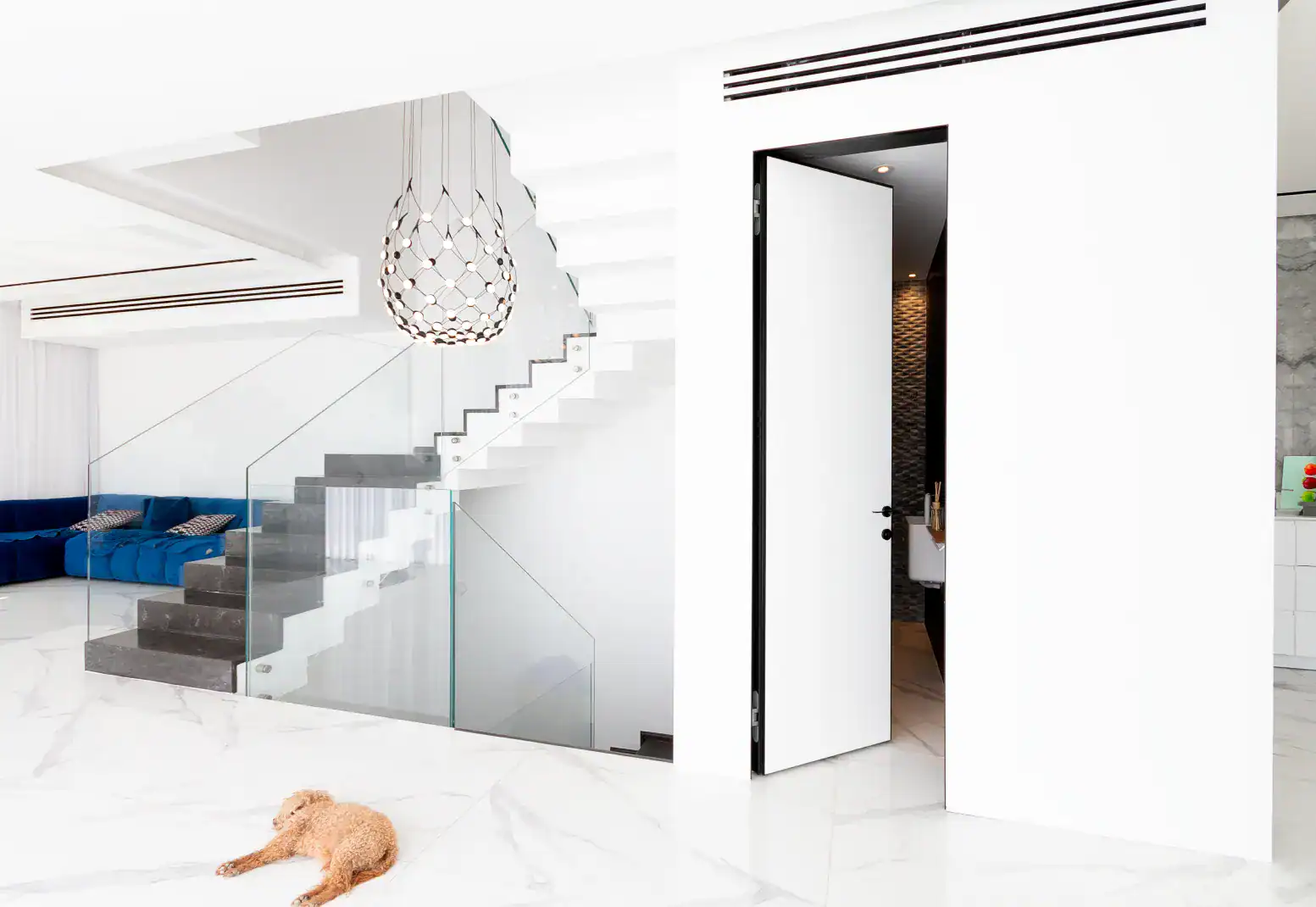 דלת פנים קו אפס evo דוגמא