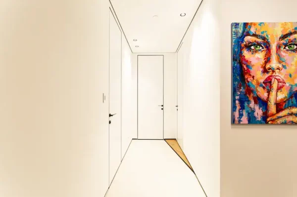 דלתות פנים נסתרות